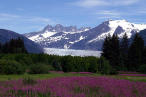 choose hotel in juneau alaska