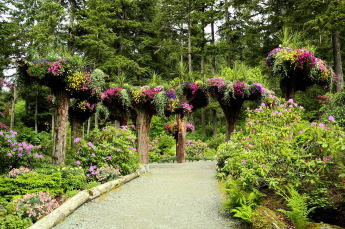 Glacier Gardens Rainforest Offers Spectacular Views Flower Towers