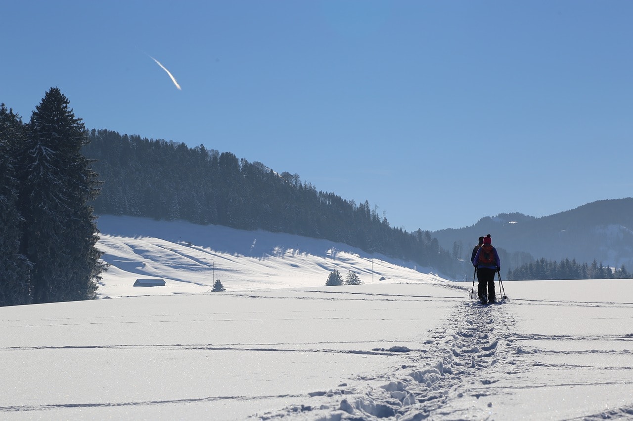 Snowshoeing Near Juneau Plot Your Trek From Top Juneau Hotel