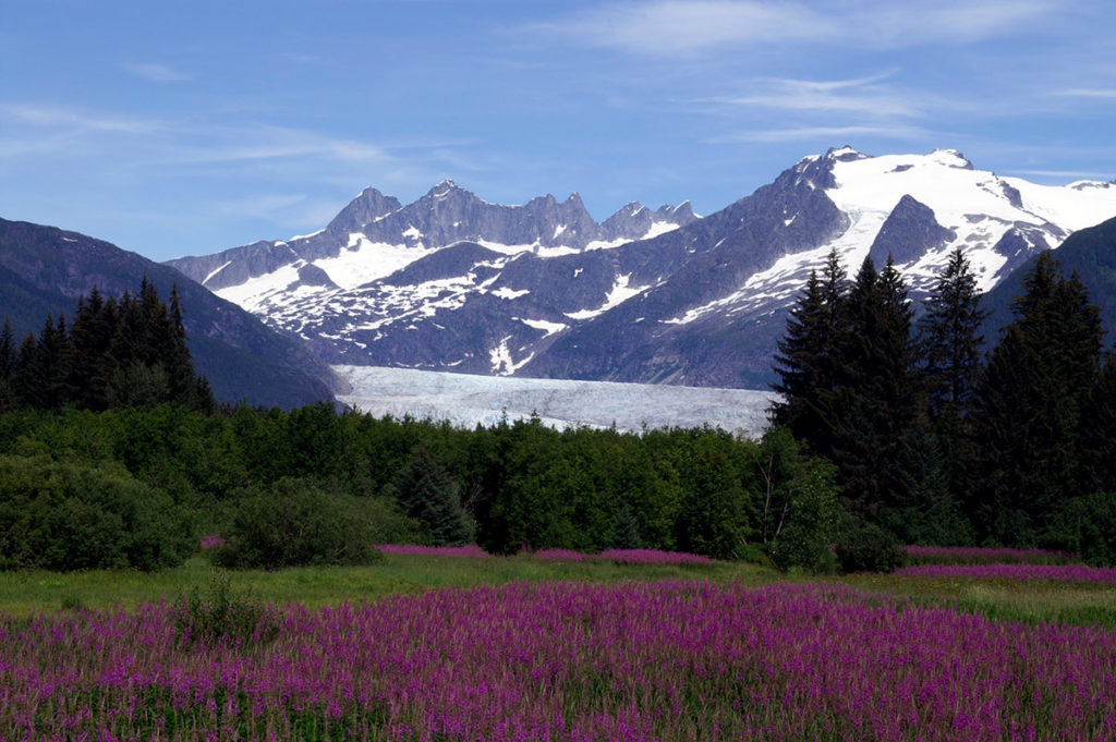 mendenhall glacier tour