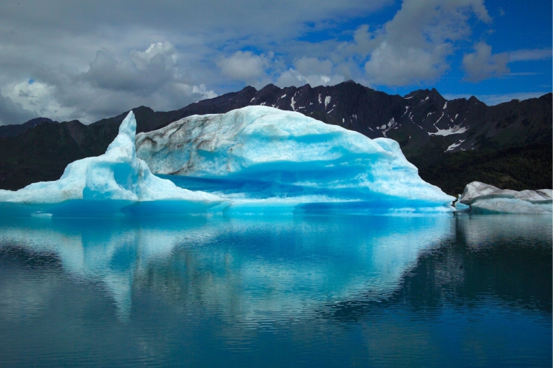 alaska whale watching